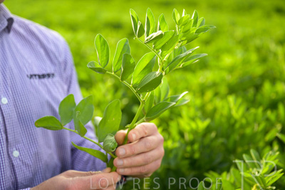 October 2022 / KANGAROO-FLAT-0319