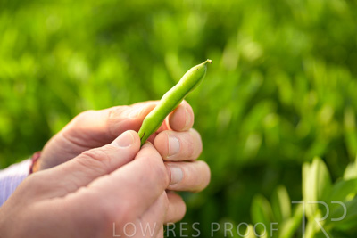 October 2022 / KANGAROO-FLAT-0320