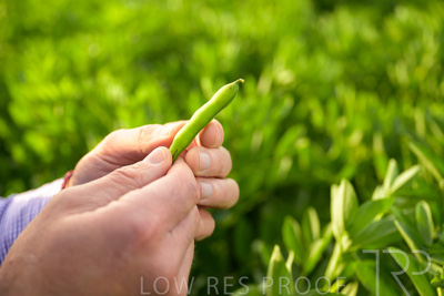 October 2022 / KANGAROO-FLAT-0321