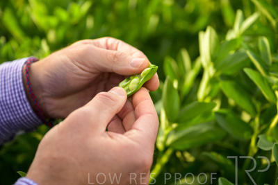 October 2022 / KANGAROO-FLAT-0325