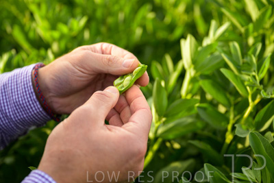 October 2022 / KANGAROO-FLAT-0326