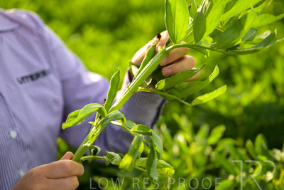 October 2022 / KANGAROO-FLAT-0329