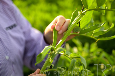 October 2022 / KANGAROO-FLAT-0330