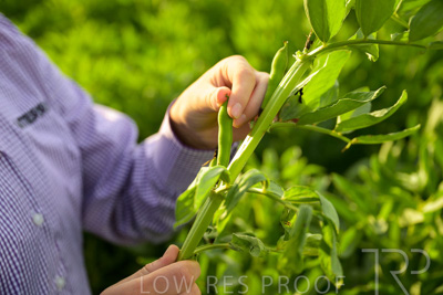 October 2022 / KANGAROO-FLAT-0332