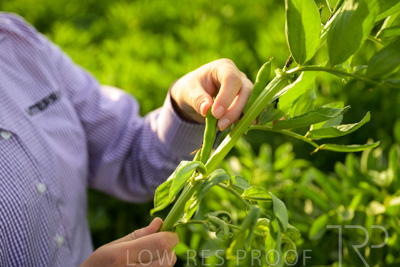 October 2022 / KANGAROO-FLAT-0333