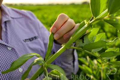 October 2022 / KANGAROO-FLAT-0336