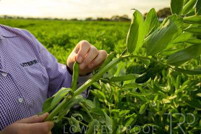 October 2022 / KANGAROO-FLAT-0338