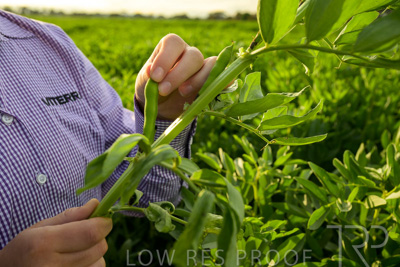 October 2022 / KANGAROO-FLAT-0344