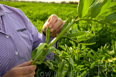 October 2022 / KANGAROO-FLAT-0345