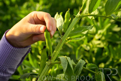 October 2022 / KANGAROO-FLAT-0353