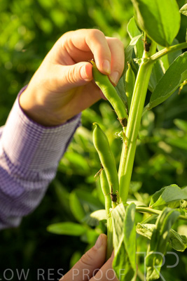 October 2022 / KANGAROO-FLAT-0361