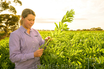 October 2022 / KANGAROO-FLAT-0363