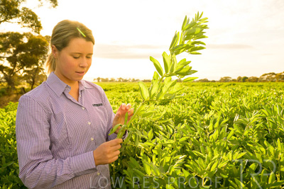 October 2022 / KANGAROO-FLAT-0364