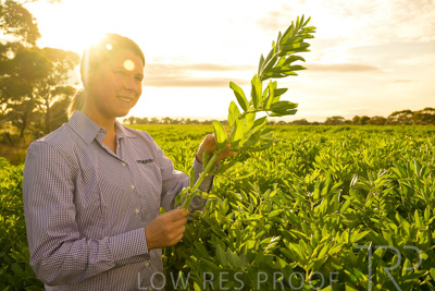 October 2022 / KANGAROO-FLAT-0371