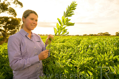 October 2022 / KANGAROO-FLAT-0372