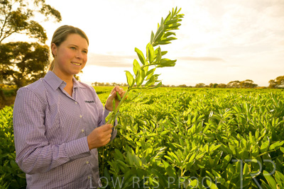 October 2022 / KANGAROO-FLAT-0373