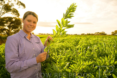 October 2022 / KANGAROO-FLAT-0374