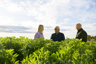 October 2022 / KANGAROO-FLAT-0379