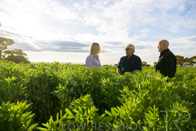 October 2022 / KANGAROO-FLAT-0381