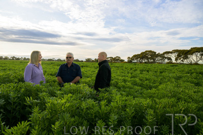 October 2022 / KANGAROO-FLAT-0386