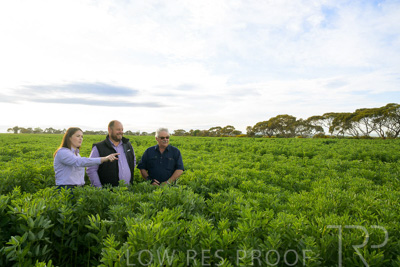 October 2022 / KANGAROO-FLAT-0393