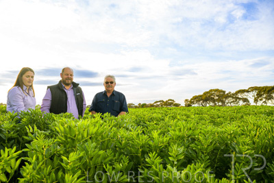 October 2022 / KANGAROO-FLAT-0398