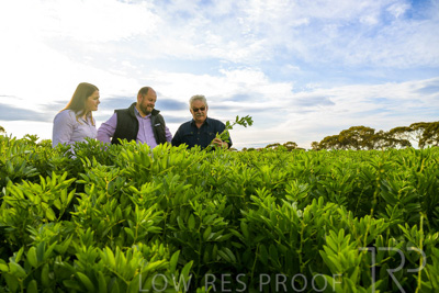 October 2022 / KANGAROO-FLAT-0405