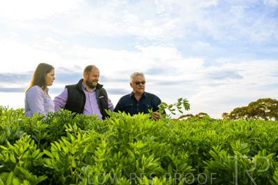 October 2022 / KANGAROO-FLAT-0407