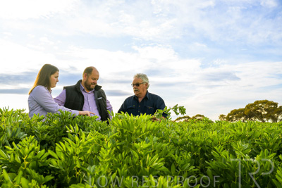 October 2022 / KANGAROO-FLAT-0408