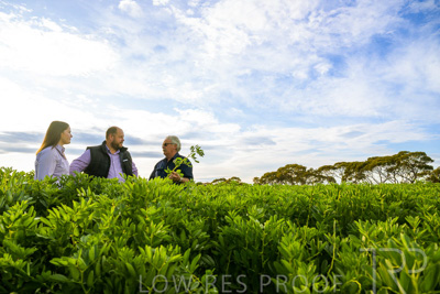 October 2022 / KANGAROO-FLAT-0413