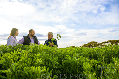 October 2022 / KANGAROO-FLAT-0415