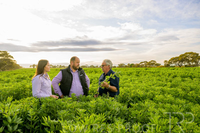 October 2022 / KANGAROO-FLAT-0416