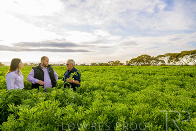 October 2022 / KANGAROO-FLAT-0419