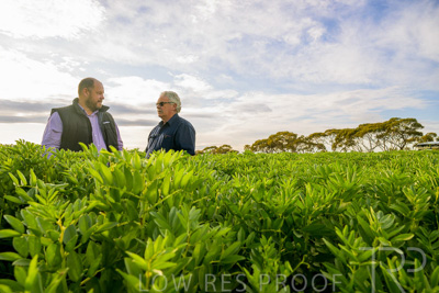 October 2022 / KANGAROO-FLAT-0423