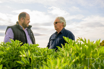 October 2022 / KANGAROO-FLAT-0425