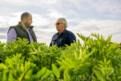 October 2022 / KANGAROO-FLAT-0427