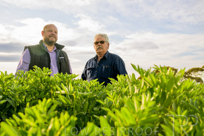 October 2022 / KANGAROO-FLAT-0428