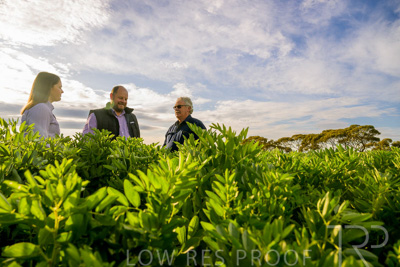 October 2022 / KANGAROO-FLAT-0434