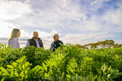 October 2022 / KANGAROO-FLAT-0435