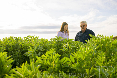 October 2022 / KANGAROO-FLAT-0449