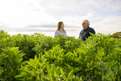 October 2022 / KANGAROO-FLAT-0451