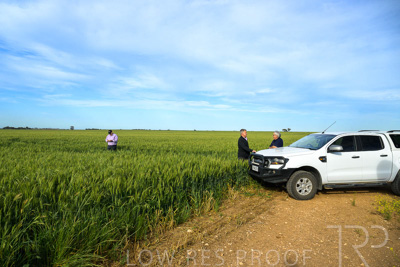 October 2022 / KANGAROO-FLAT-0463