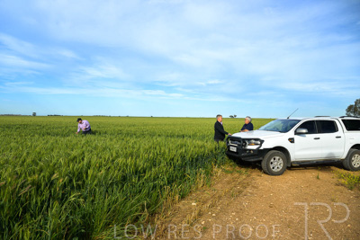 October 2022 / KANGAROO-FLAT-0464