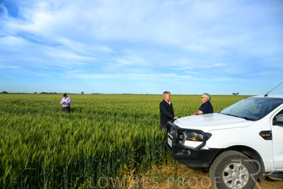 October 2022 / KANGAROO-FLAT-0466