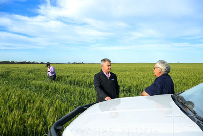 October 2022 / KANGAROO-FLAT-0468