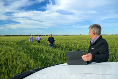 October 2022 / KANGAROO-FLAT-0477