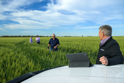 October 2022 / KANGAROO-FLAT-0478