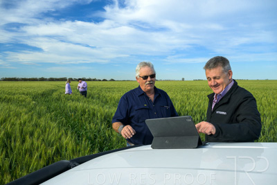 October 2022 / KANGAROO-FLAT-0479