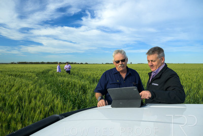 October 2022 / KANGAROO-FLAT-0483