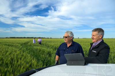 October 2022 / KANGAROO-FLAT-0489